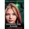 Fanning The Flames