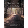 The Gauntlet Runner: A Tale from the French and Indian War