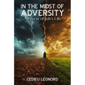 In The Midst of Adversity: A Precis of Job's Life