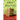 The Accomplished Guest: Stories