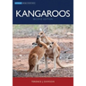Kangaroos
