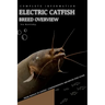 Electric Catfish: From Novice to Expert. Comprehensive Aquarium Fish Guide