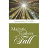 Majestic Timbers of Fall