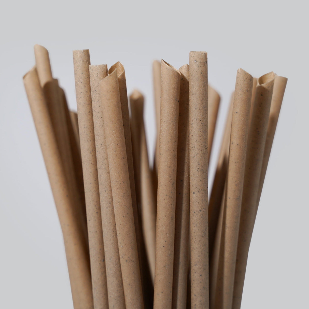 Coffee Drinking Straws (Wholesale/Bulk), Standard Size - 1000 count by EQUO