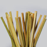 Grass Drinking Straws by EQUO