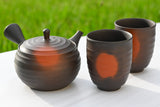 Japanese Green Tea Set - Teapot with Filters (270ml) and Two Cups by Aprika Life