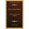 How to Draw Horses: Horses in Action, Horse Anatomy