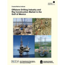 Offshore Drilling Industry and Rig Construction Market in the Gulf of Mexico