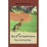 Not Quite on Grand Avenue: Poems of the Early Years