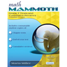 Math Mammoth Grade 7 Tests and Cumulative Reviews, Canadian Version