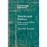 Shocks and Politics