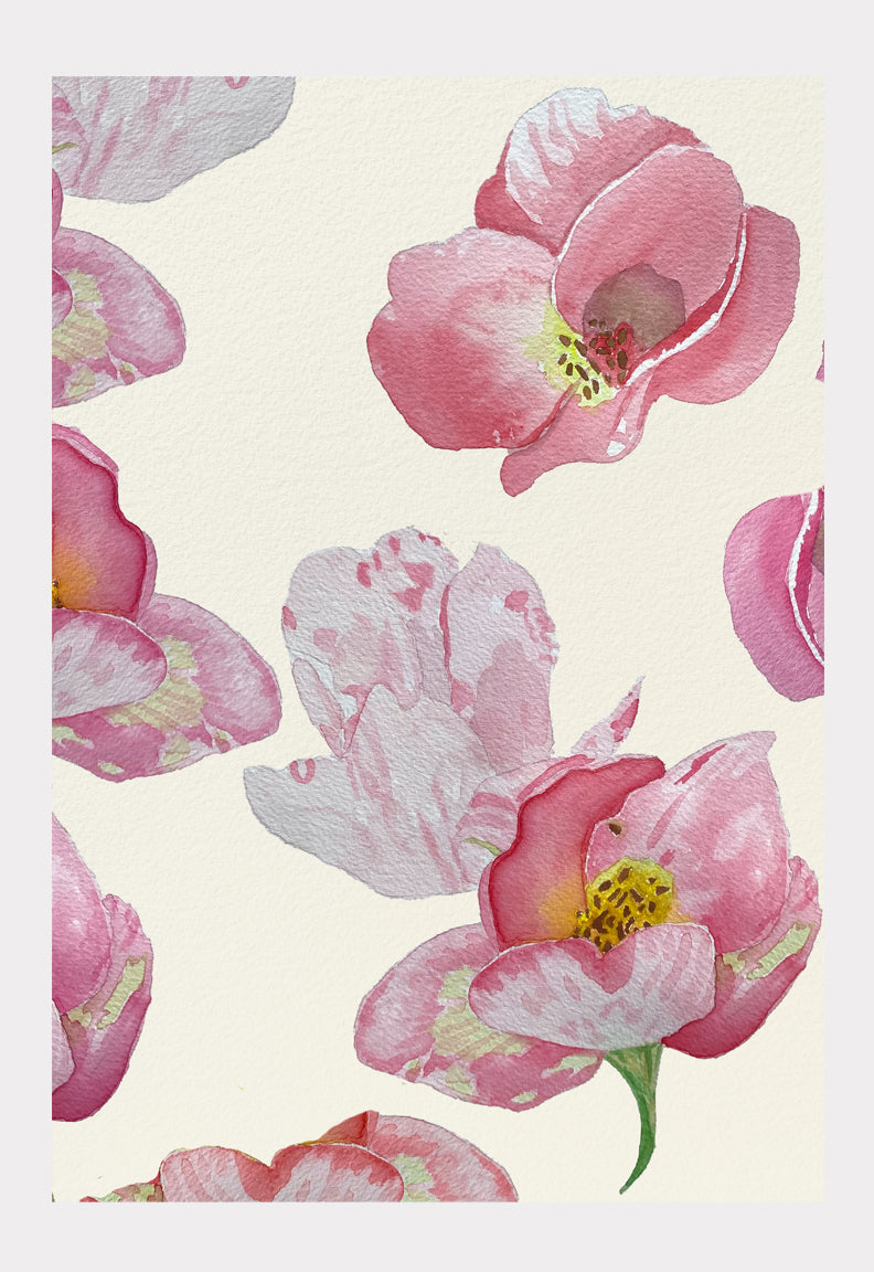 Art Print:  Wild Dog Rose on Ecru by India & Purry