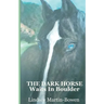 The Dark Horse Waits in Boulder
