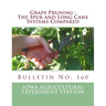 Grape Pruning: The Spur and Long Cane Systems Compared: Bulletin No. 160