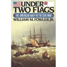 Under Two Flags: The American Navy in the Civil War