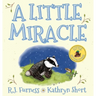 A Little Miracle