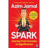 Spark: Journey from Success to Significance
