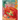 Dragon World