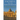 Faithful to the Magisterium: The Conservative Vision of Bishop Athanasius Schneider