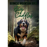 Bernese Mountain Dogs Big Cuddles: A Picturebook for Young Readers