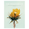 The Practice Co - Volume Three