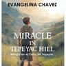 Miracle in Tepeyac Hill