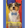 Hi! I'm Pinocchio.: I've got no strings on me!