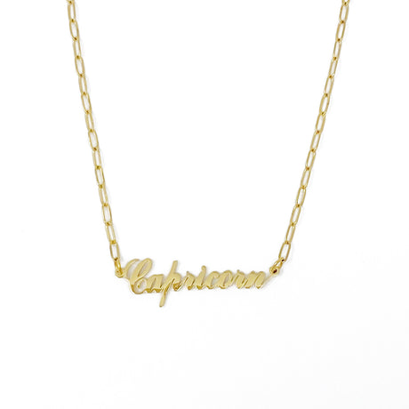 Annie Zodiac Chain Necklace by Ellisonyoung.com