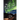 Please Turn Out the Northern Lights When You Leave