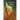 Titanium White