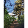 Seasons of the Pine Bush