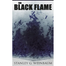 The Black Flame: Dystopian Novel