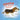 Cocoa the Basset Hound