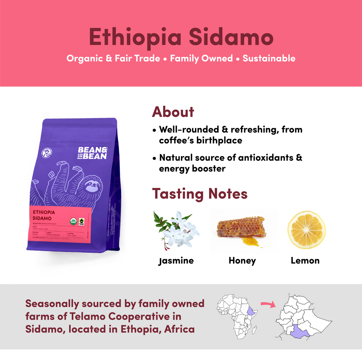 Ethiopia Sidamo, Organic & Fair Trade by Bean & Bean Coffee Roasters