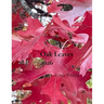 Oak Leaves 2026