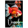 Oranda Goldfish: The ultimate guide to Oranda Goldfish care, behavior, health, feeding, breeding, tank mates, choosing right tank sizes