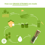 Grass Drinking Straws by EQUO