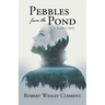 Pebbles From The Pond: A Teacher's Story