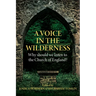 A Voice in the Wilderness: Why should we listen to the Church of England?