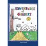 Adventures of Gerbert