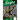 Oviraptor
