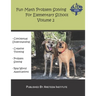 Fun Math Problem Solving For Elementary School Volume 2