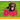 Dogs