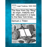 The New York City "Ring": Its Origin, Maturity and Fall: Discussed in a Reply to the New York Times.