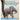 Baby Animals Moving