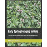 Early Spring Foraging in Ohio: Thirteen of the Earliest Spring Plants for Food and Medicine