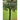 Parts of a Tree