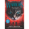 Warriors: The Broken Code: The Place of No Stars