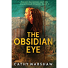 The Obsidian Eye: A Young Adult Mystery Thriller
