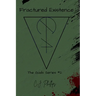 Fractured Existence